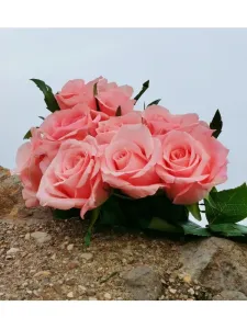 natures-beauty-never-lies