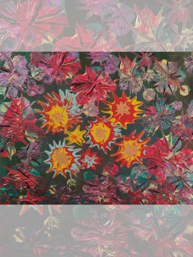 eden-Eden-Guyane-place 