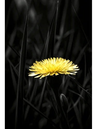 in-the-heat-of-the-night 