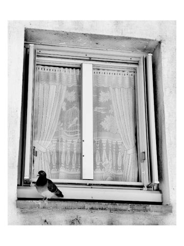knock-in-human-door 